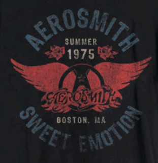Aerosmith Summer 75 T-Shirt (Black)