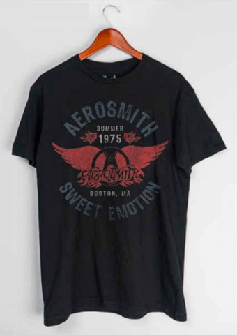 Aerosmith Summer 75 T-Shirt (Black)